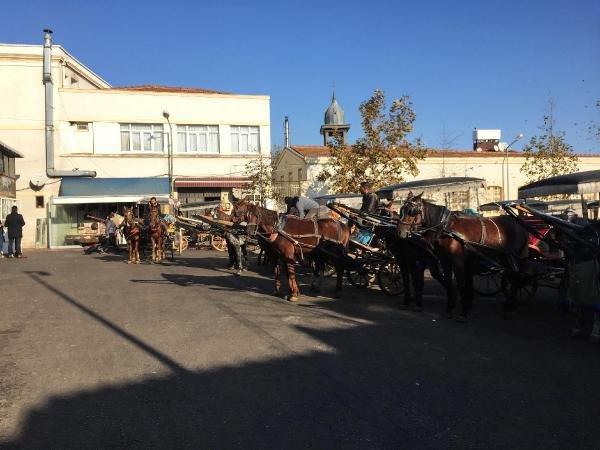 Adalar'da faytonlar 3 aylığına yasaklandı