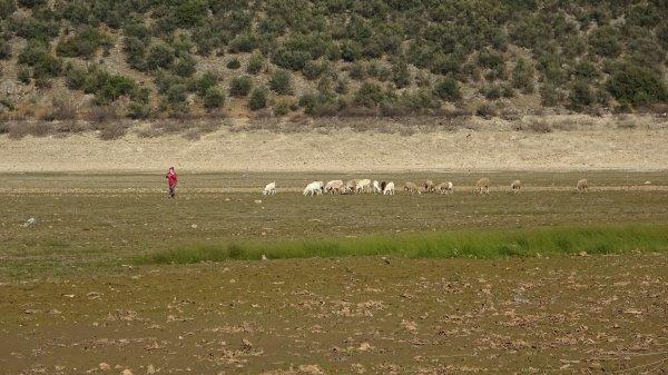 Bursa'da Gölbaşı kurudu