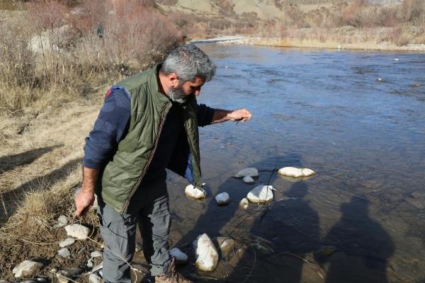 Kaçak avcılar suya jeneratörle elektrik verdi, balıklar öldü