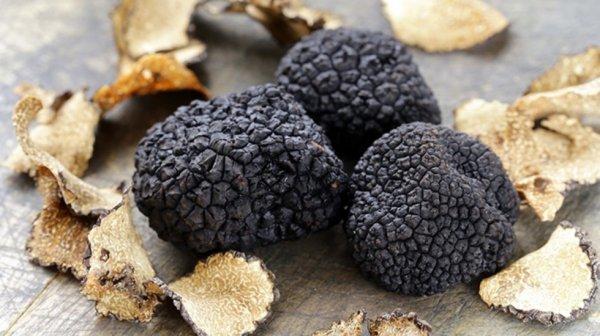 80 kilo trüf mantarı, ihale ile satışa çıkarıldı