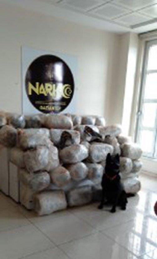 Gaziantep polisi bir tankerde 200 kilo esrar buldu