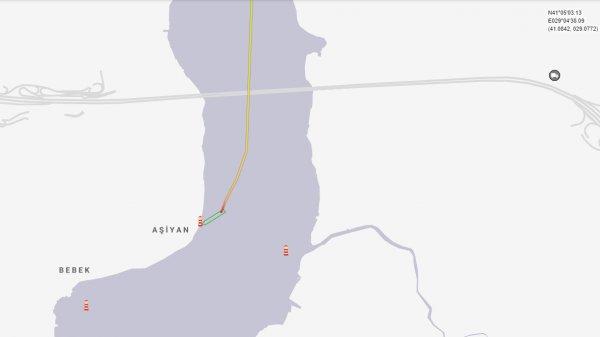 Geminin Boğaz'da bilerek karaya vurduğunu savunanlar var