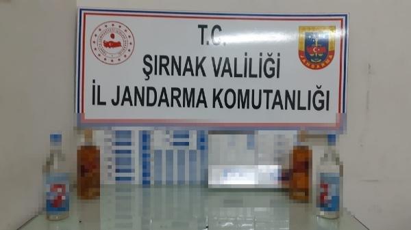 Şırnak'ta kaçakçılık operasyonu: 36 gözaltı