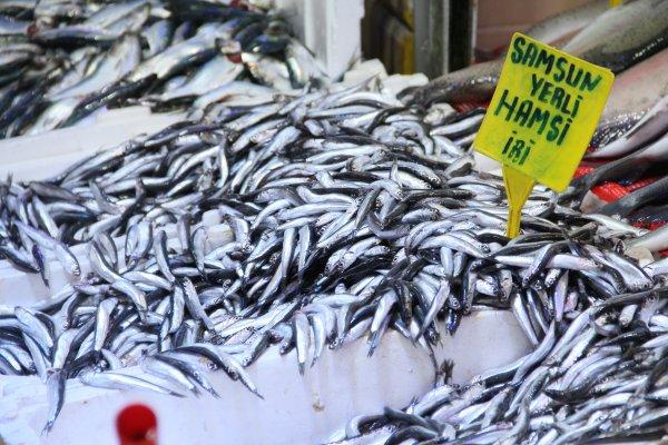Soğuk hava tezgahları hareketlendirdi