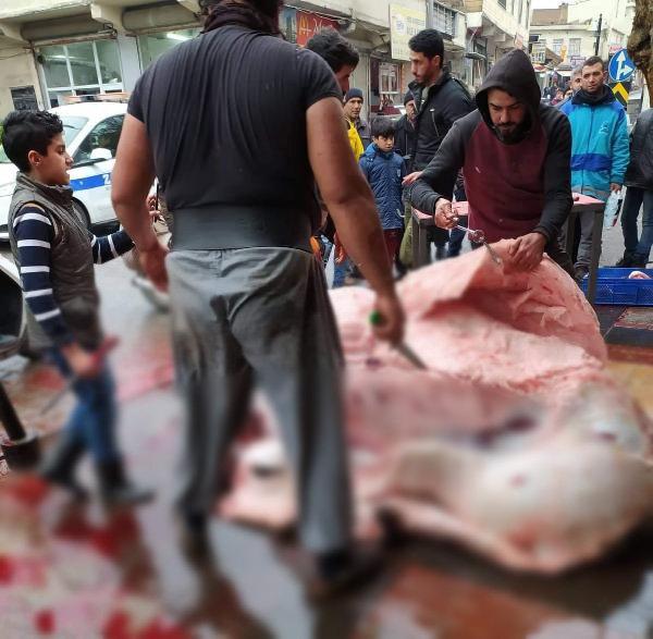 Sokak ortasında deve kesip ortalığı kana buladılar