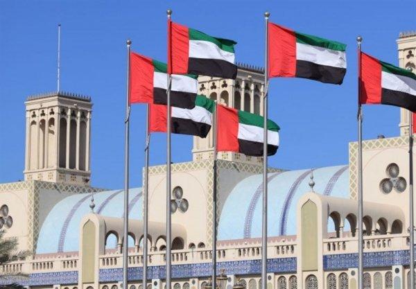 BAE Türkiye'nin Libya tezkeresini kınadı