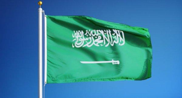 Suudi Arabistan, Türkiye'nin Libya tezkeresini kınadı