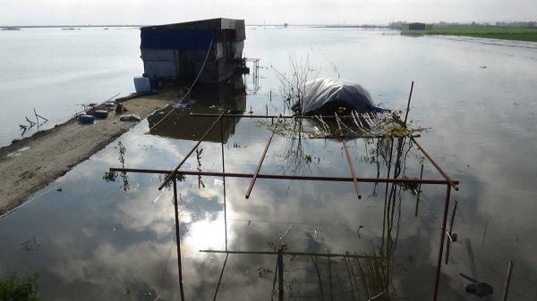 Şiddetli yağış sonrası Amik Ovası sular altında kaldı