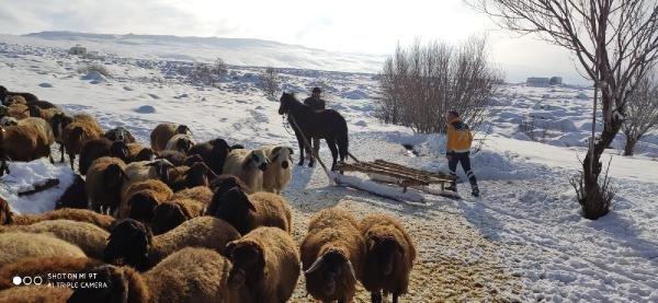 Sağlık ekipleri hastanın yanına at üzerinde gitti
