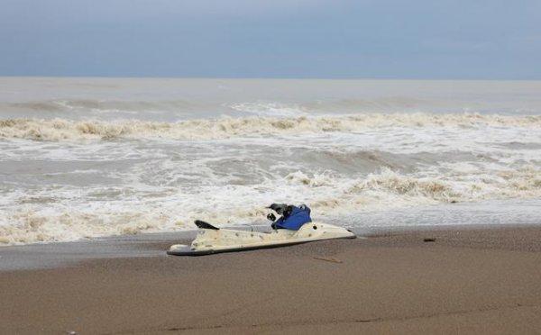 Antalya'da ölü at kıyıya vurdu