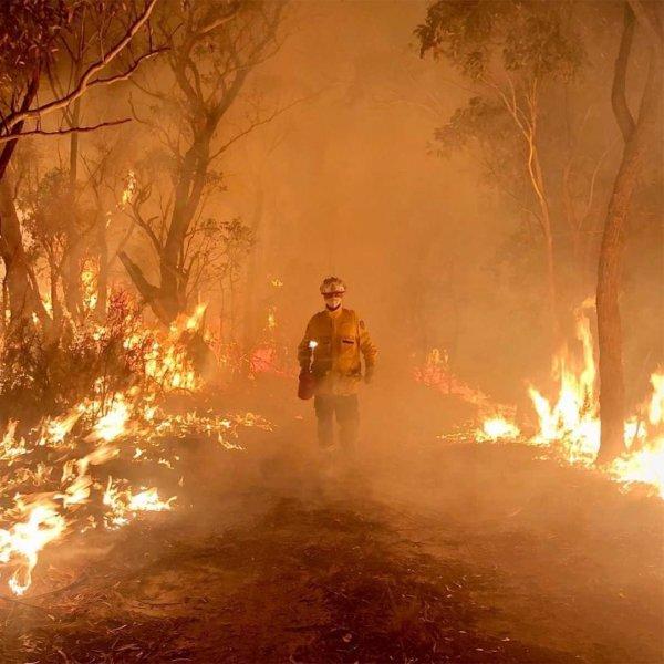 Avustralya'da çıkan yangında son durum