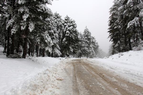 Antalya ve Mersin'de fırtına alarmı: Tahliyeler başladı