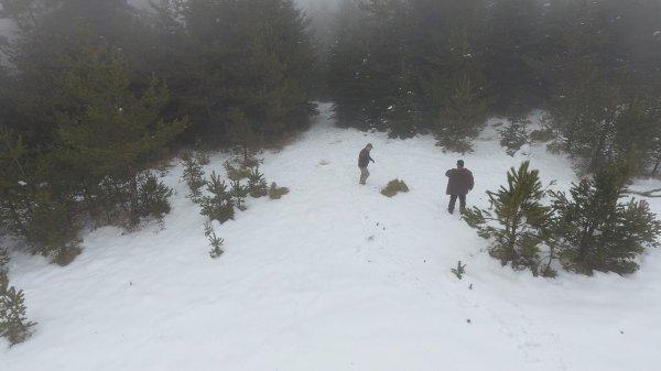 Sinop'ta yabani hayvanlar kara kışta unutulmadı