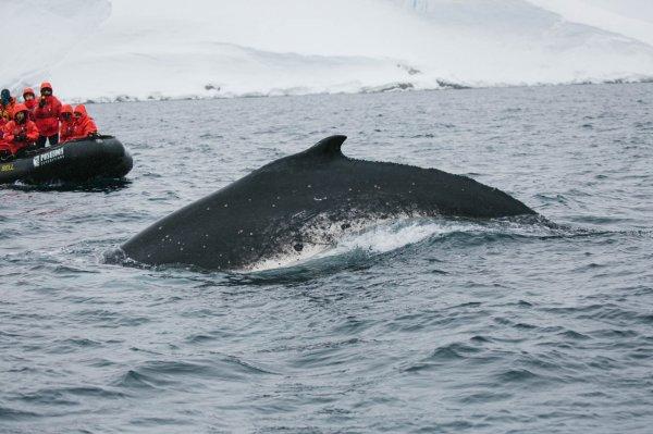 Bestseller yazar Rövşen Abdullaoğlu ile kitapları ve seyahatlerini konuştuk