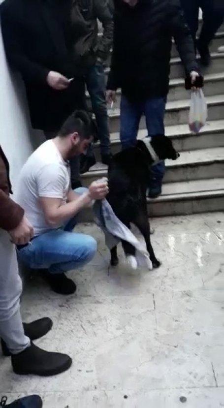 Yağmurda ıslanan köpeği kazağını çıkarıp kuruladı