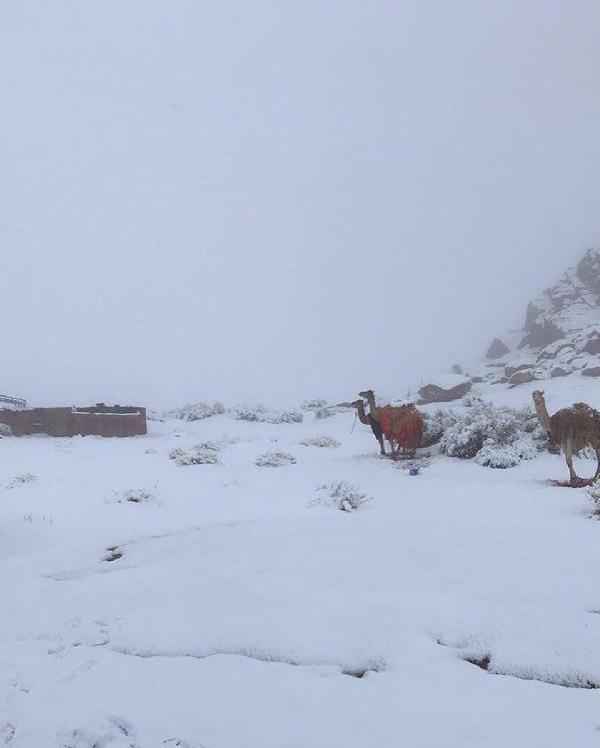 Suudi Arabistan’a kar yağdı, Araplar coştu