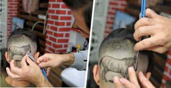 At kafası modeli ilgi çekiyor