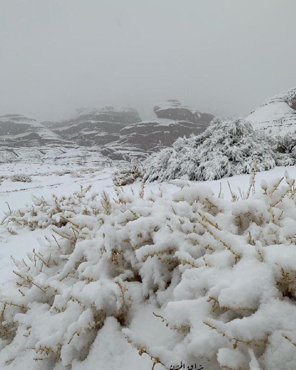 Suudi Arabistan’a kar yağdı, Araplar coştu