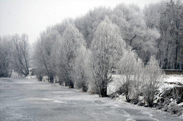 Kar yağışı ve soğuk Doğu'da etkili oluyor