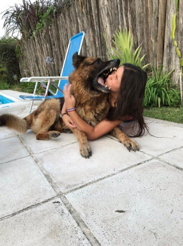 Köpekle fotoğraf çekmek isteyen genç kız yaralandı