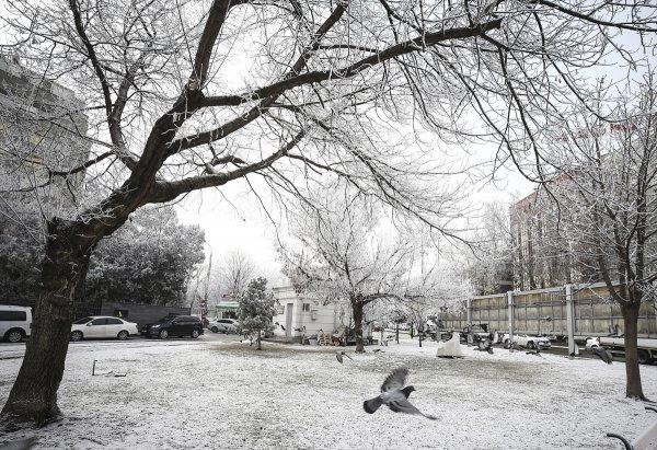 Kar yağışı ve soğuk Doğu'da etkili oluyor