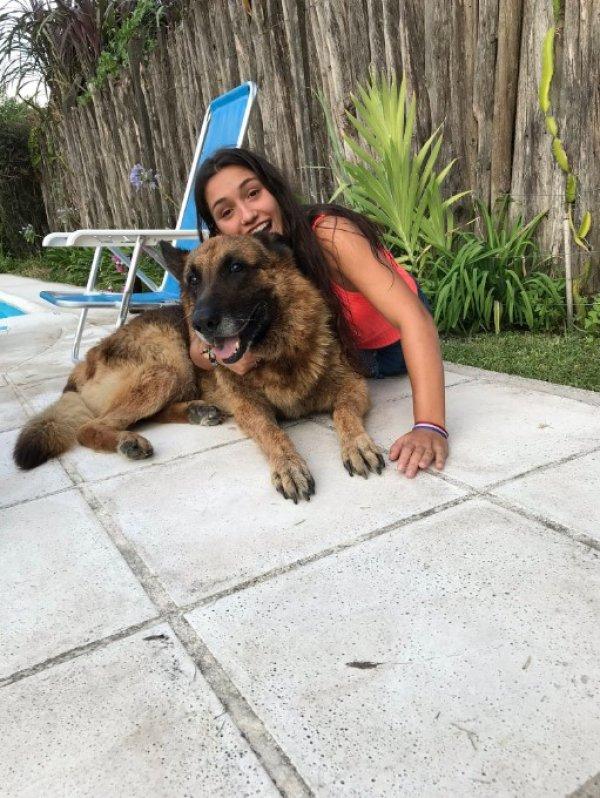 Köpekle fotoğraf çekmek isteyen genç kız yaralandı