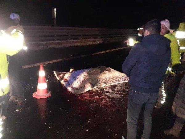 Niğde'de trafik kazalarında 2 kişi öldü 8 kişi yaralandı
