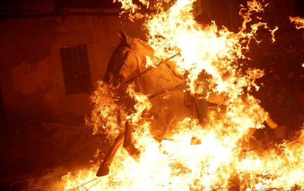 Atlar, kötülüklerden arındırılmak için ateş üzerinde yürütüldü