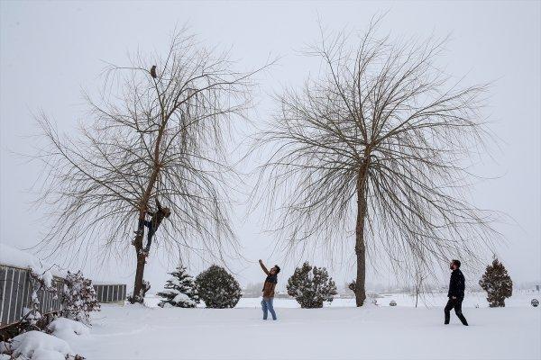 Kar yağışı ve soğuk Doğu'da etkili oluyor