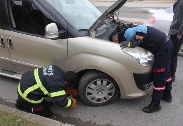 Otomobilin motorunda sıkışan kediyi itfaiye kurtardı