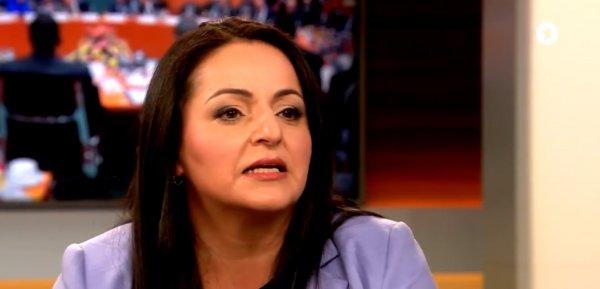 Sevim Dağdelen, Türkiye'yi Alman bakana şikayet etti