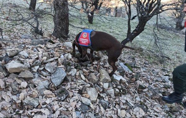 Diyarbakır'da ortak operasyon: 1 ton 351 kilogram esrar
