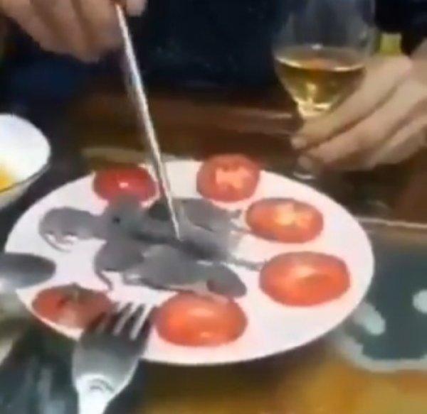 Çin'de yabani hayvan ticareti yasaklandı