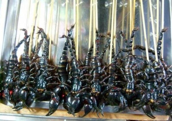 Çin'de yabani hayvan ticareti yasaklandı