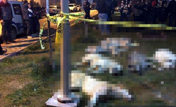 Sokak köpeklerini zehirleyen 3 kişiye 10 yıl hapis