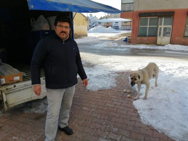 Kamyonetten ekmek alan sevimli köpek