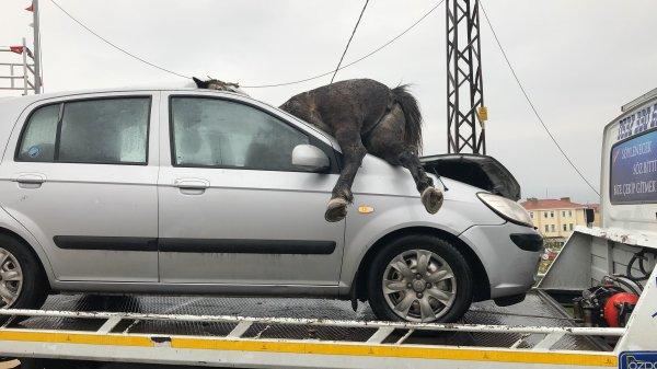 İstanbul’da korkunç kaza: 3 at telef oldu