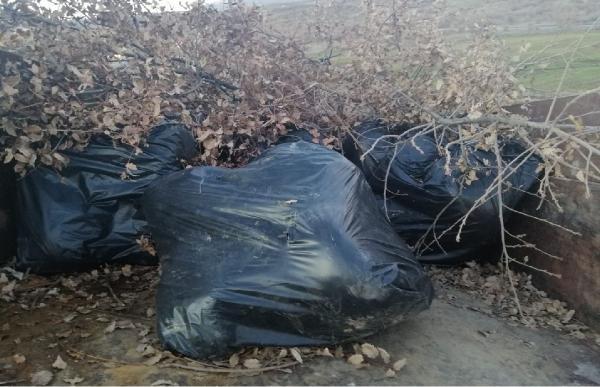 Traktör römorkunda 250 kilo esrar ele geçirildi