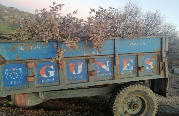 Traktör römorkunda 250 kilo esrar ele geçirildi