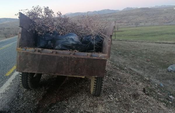 Traktör römorkunda 250 kilo esrar ele geçirildi