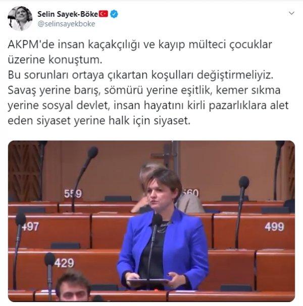 Selin Sayek Böke, Strazburg'da Türkiye'yi şikayet etti
