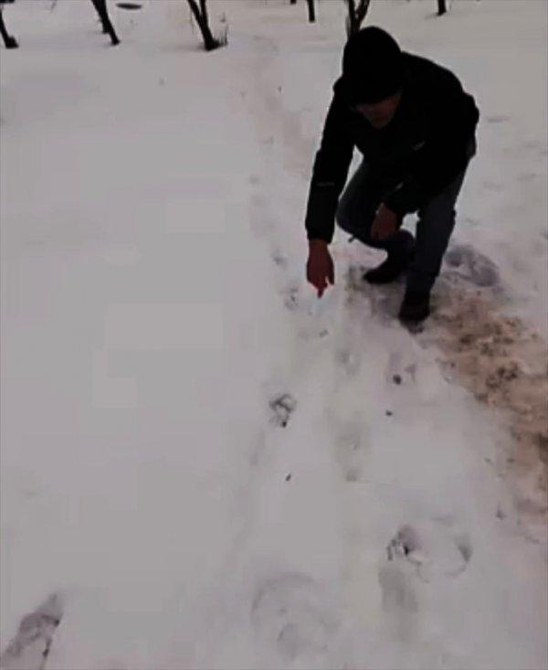 Polis, karda iz bırakan hırsızı yakaladı