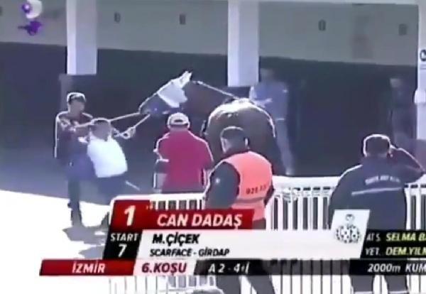 Hipodromda ata şiddet uygulayan şahsa ceza verildi
