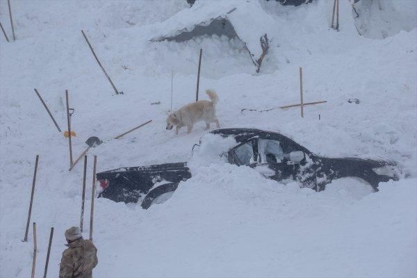 Van'daki çığ sonrası yürek yakan fotoğraf