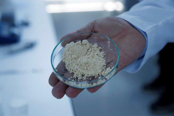 Türk bilim insanları gıda sektörü için yerli enzim üretti