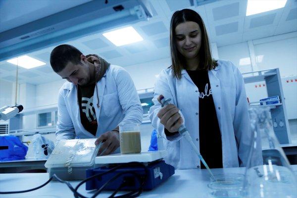 Türk bilim insanları gıda sektörü için yerli enzim üretti