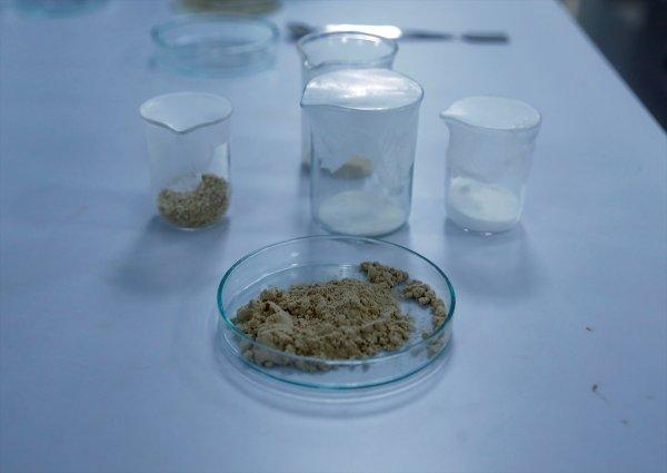 Türk bilim insanları gıda sektörü için yerli enzim üretti