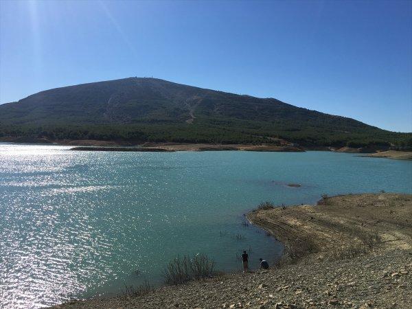 Gökçeada'da 4 yeni salyangoz türü keşfedildi