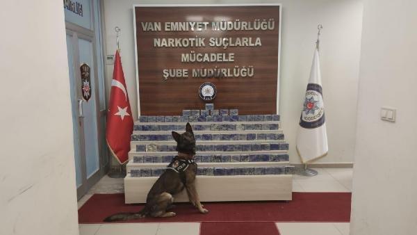 Kamyonetteki 54 kilo eroini 'Rexo' buldu