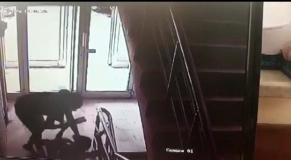 Komşusunu döven kadın için 2 yıl hapis talebi